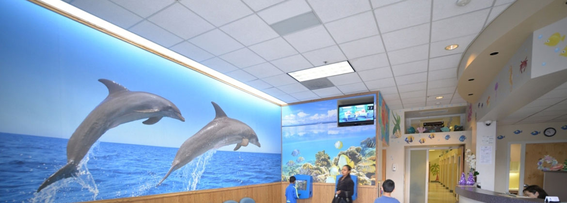San Jose Dolphin Dental
