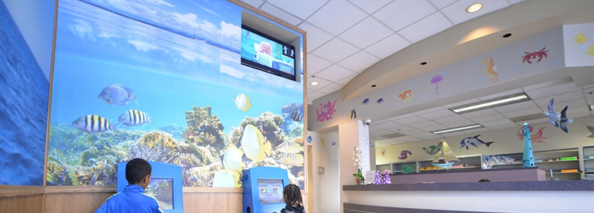 San Jose Dolphin Dental